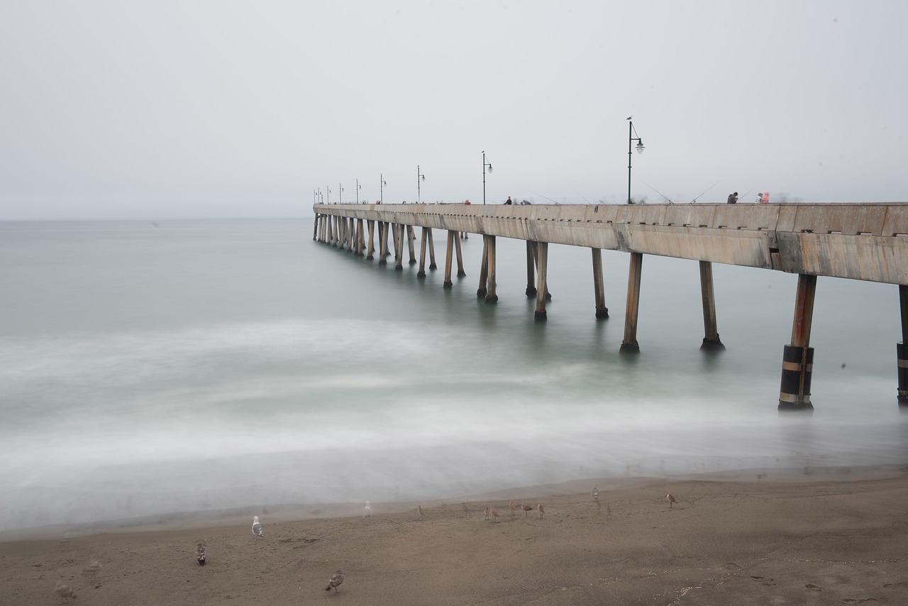 bridge ocean sea free photo