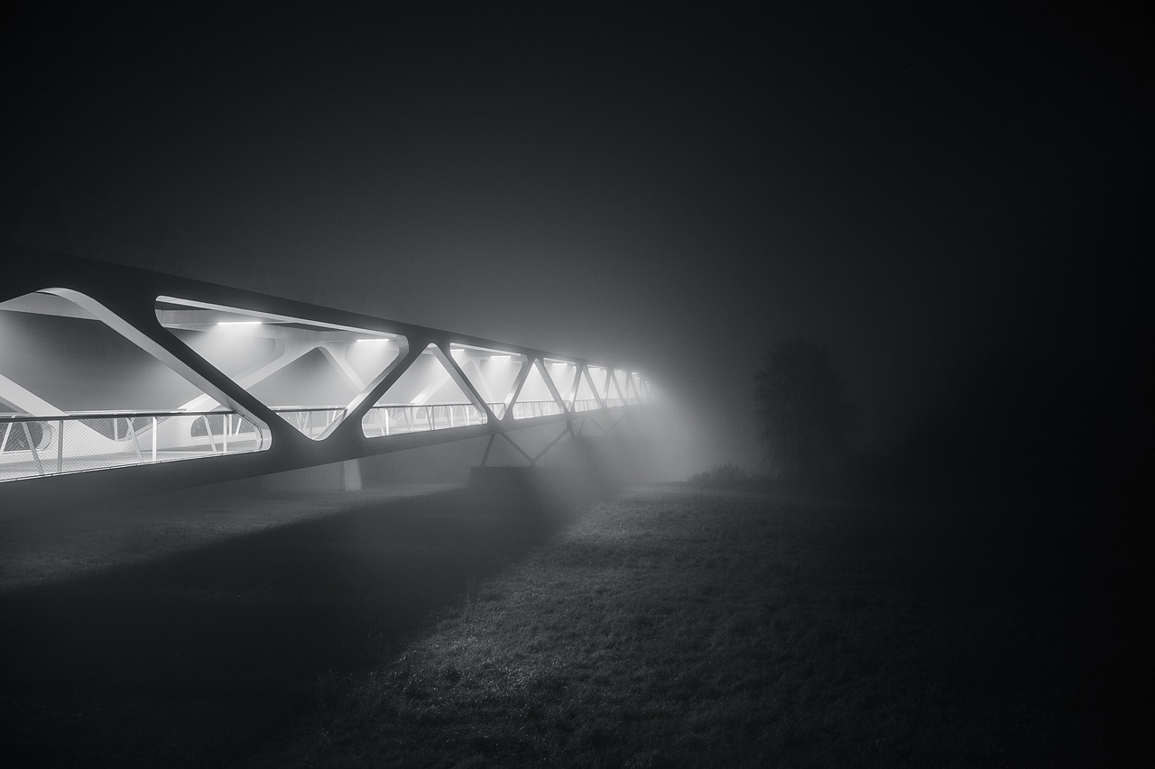 bridge architecture lights free photo