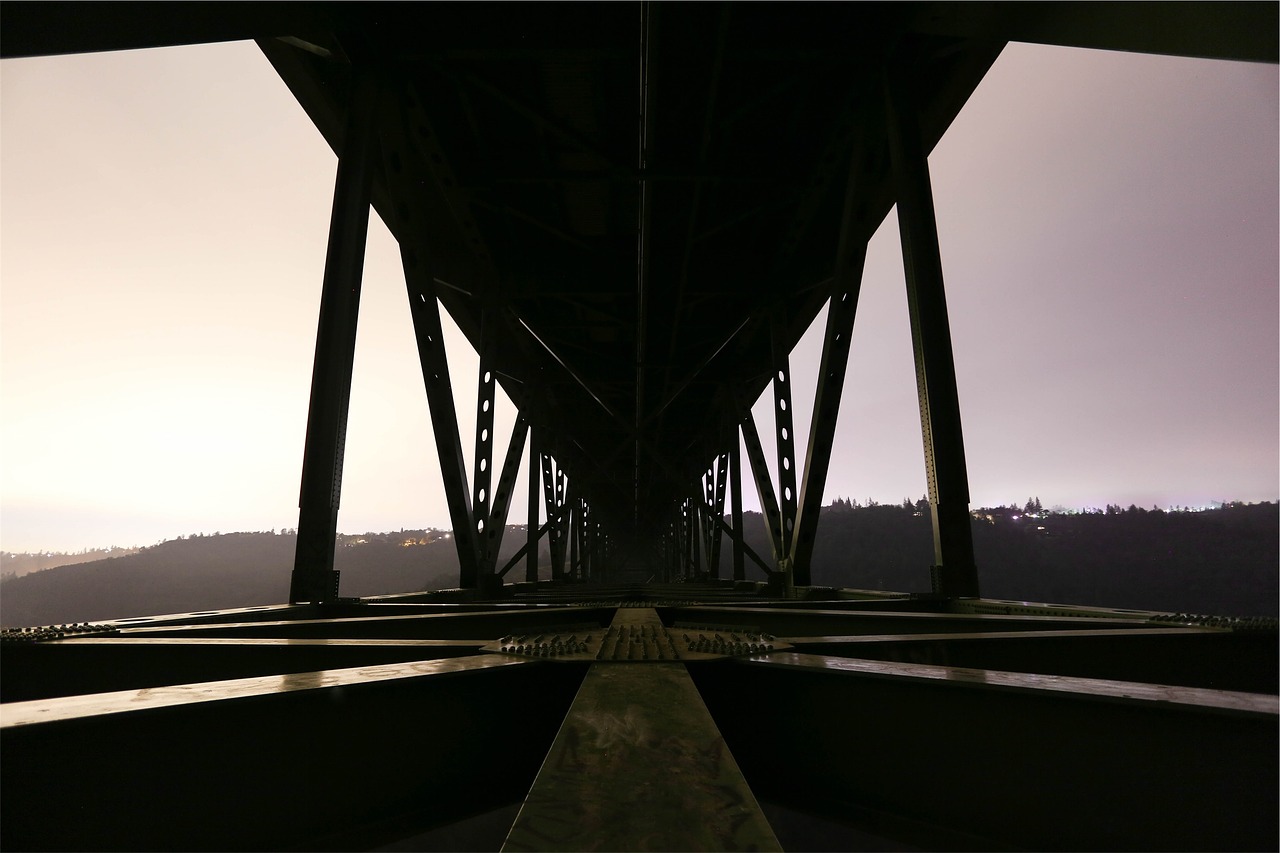 bridge architecture dusk free photo