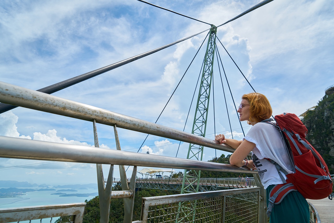 bridge tourist bag free photo