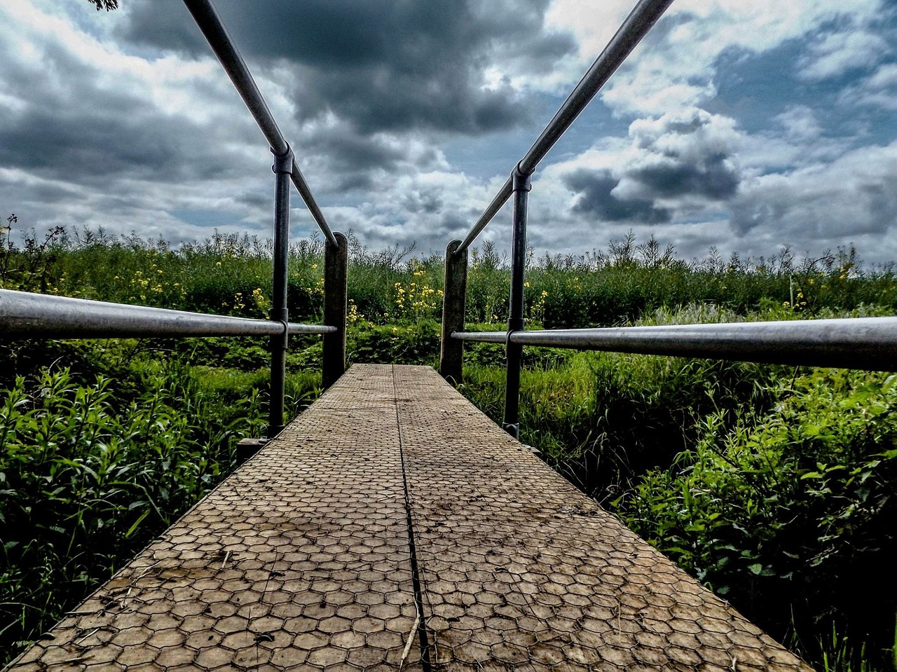 bridge grass landscape free photo