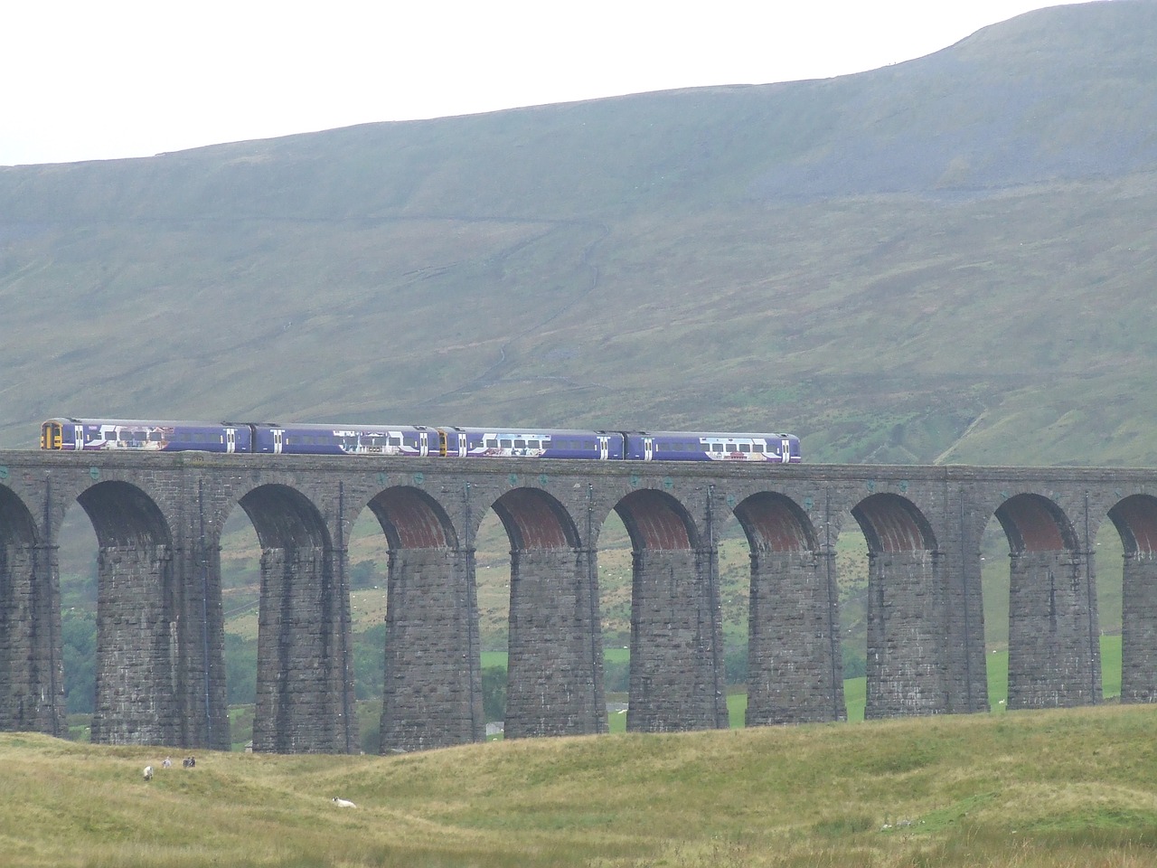 bridge train travel free photo