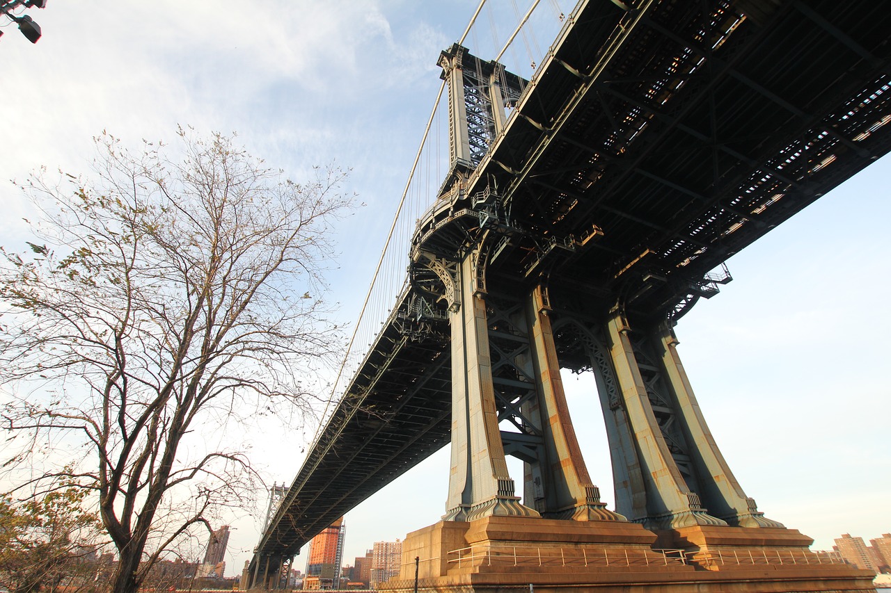 bridge tree cable bridge free photo