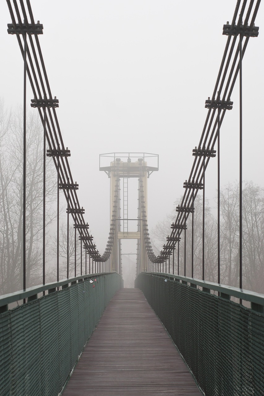 bridge footbridge transition free photo