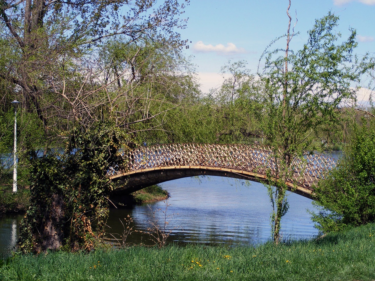 bridge water landscape free photo