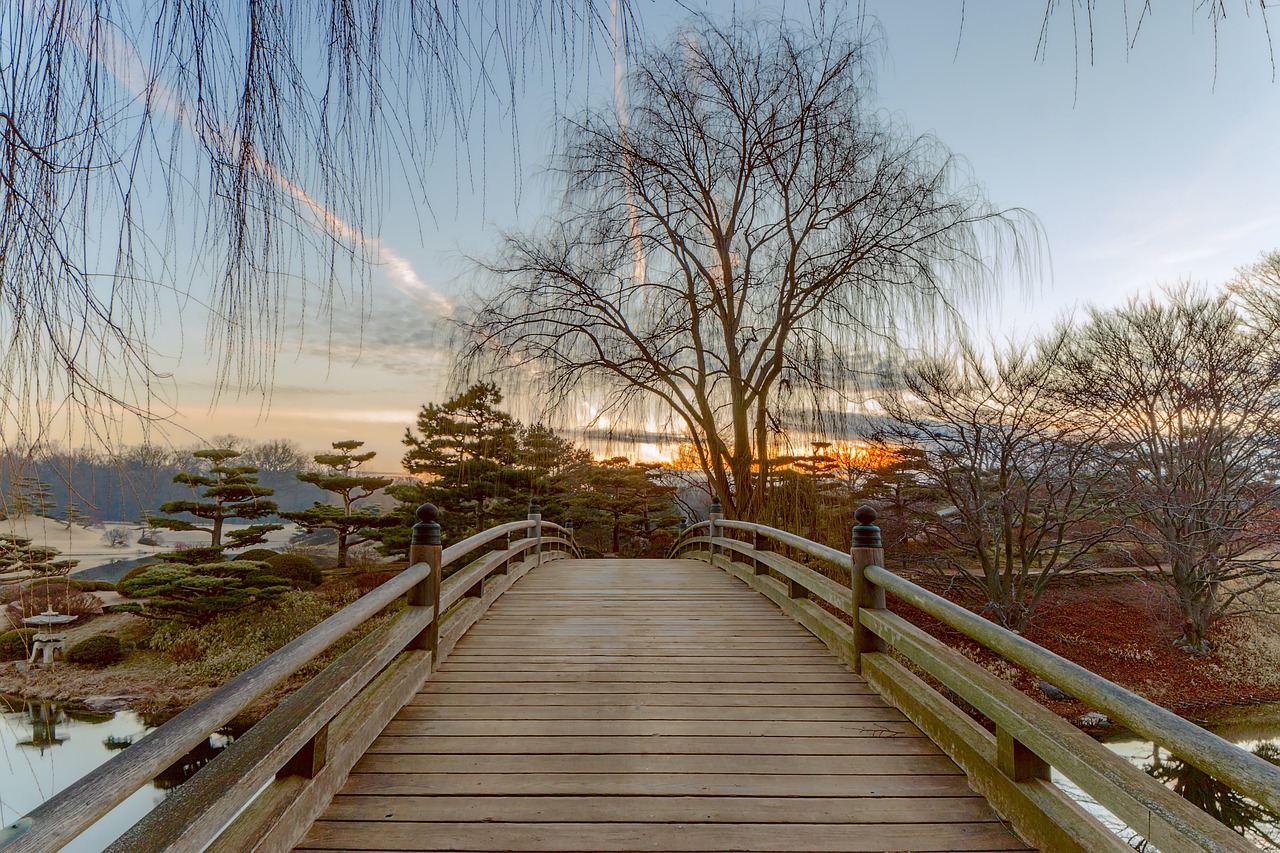 bridge dawn sunrise free photo