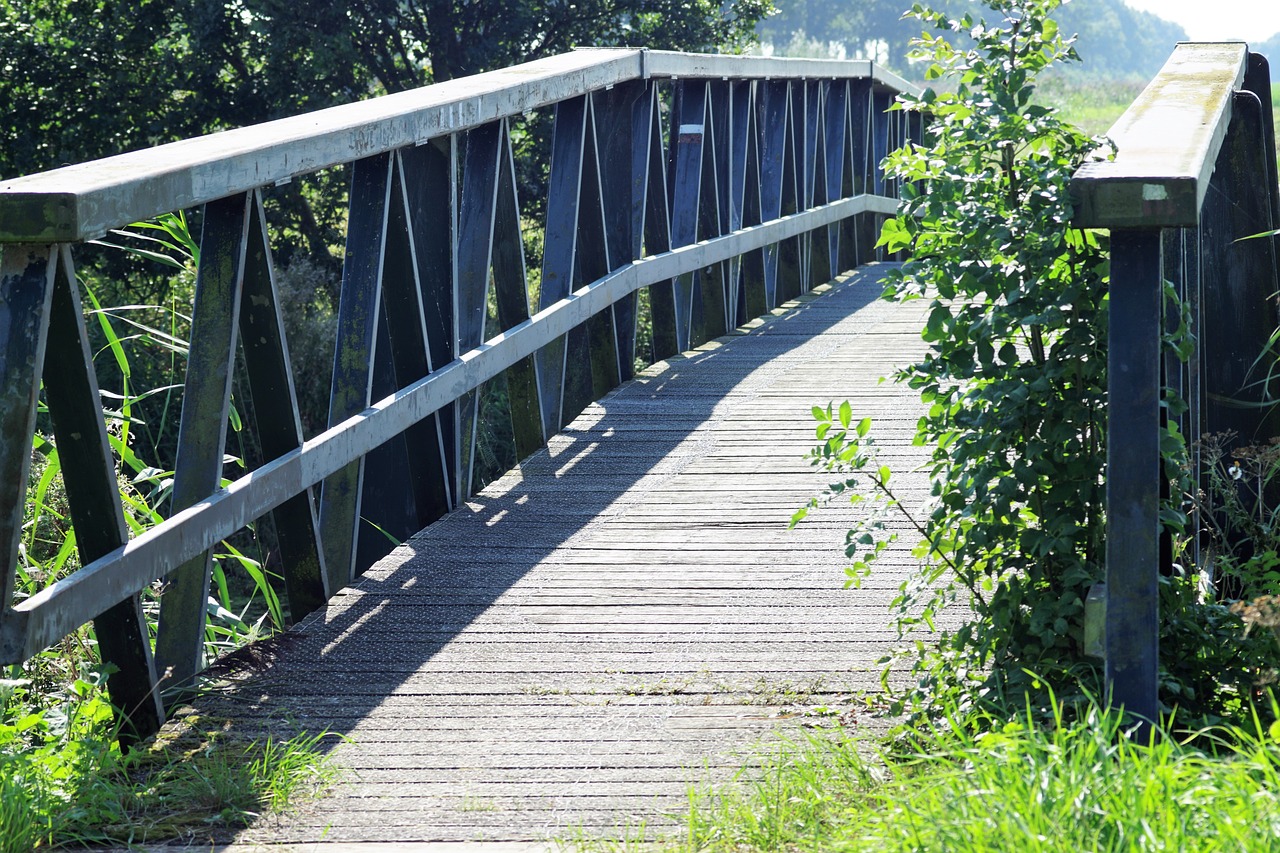 bridge nature path free photo