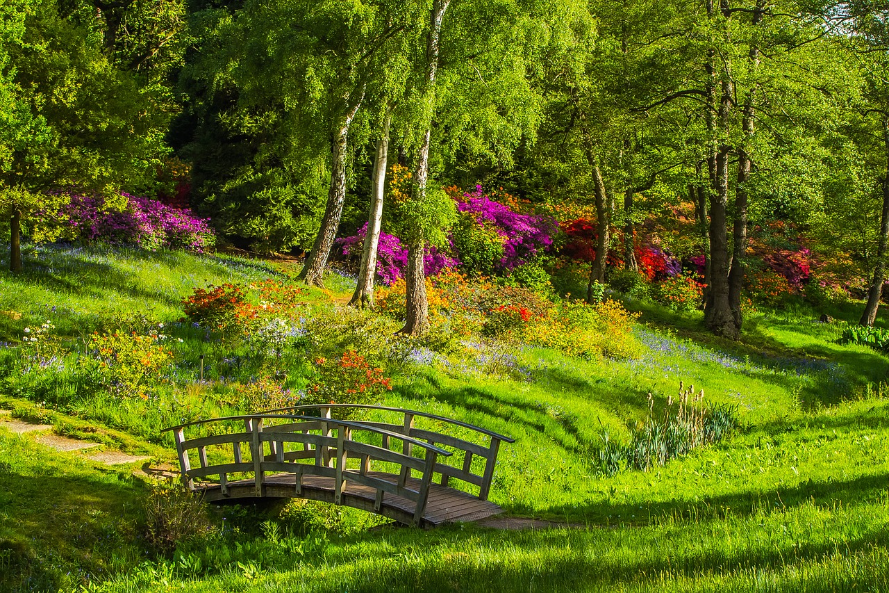 bridge park rododendron free photo