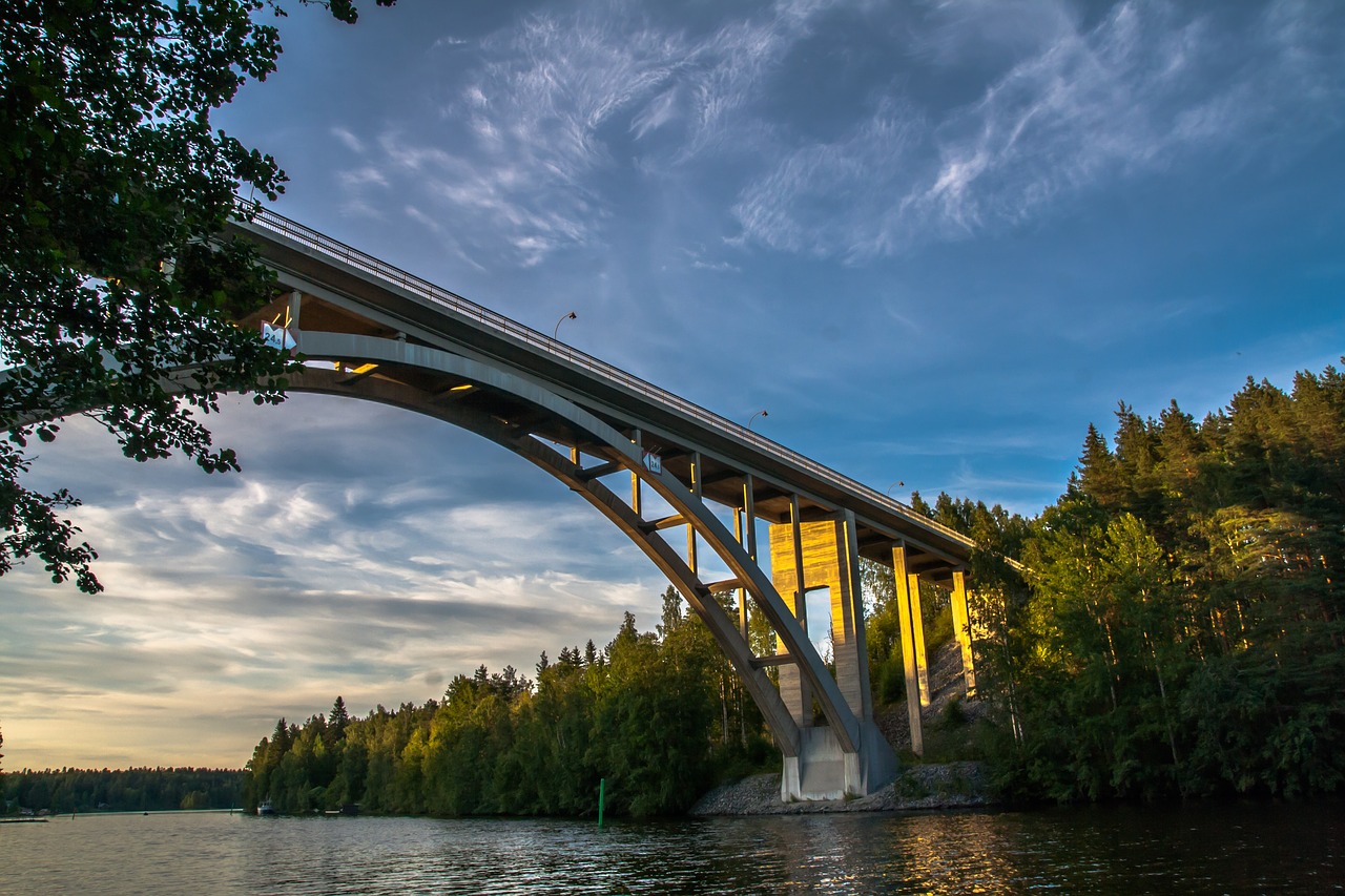 bridge alder stream bridge summer free photo