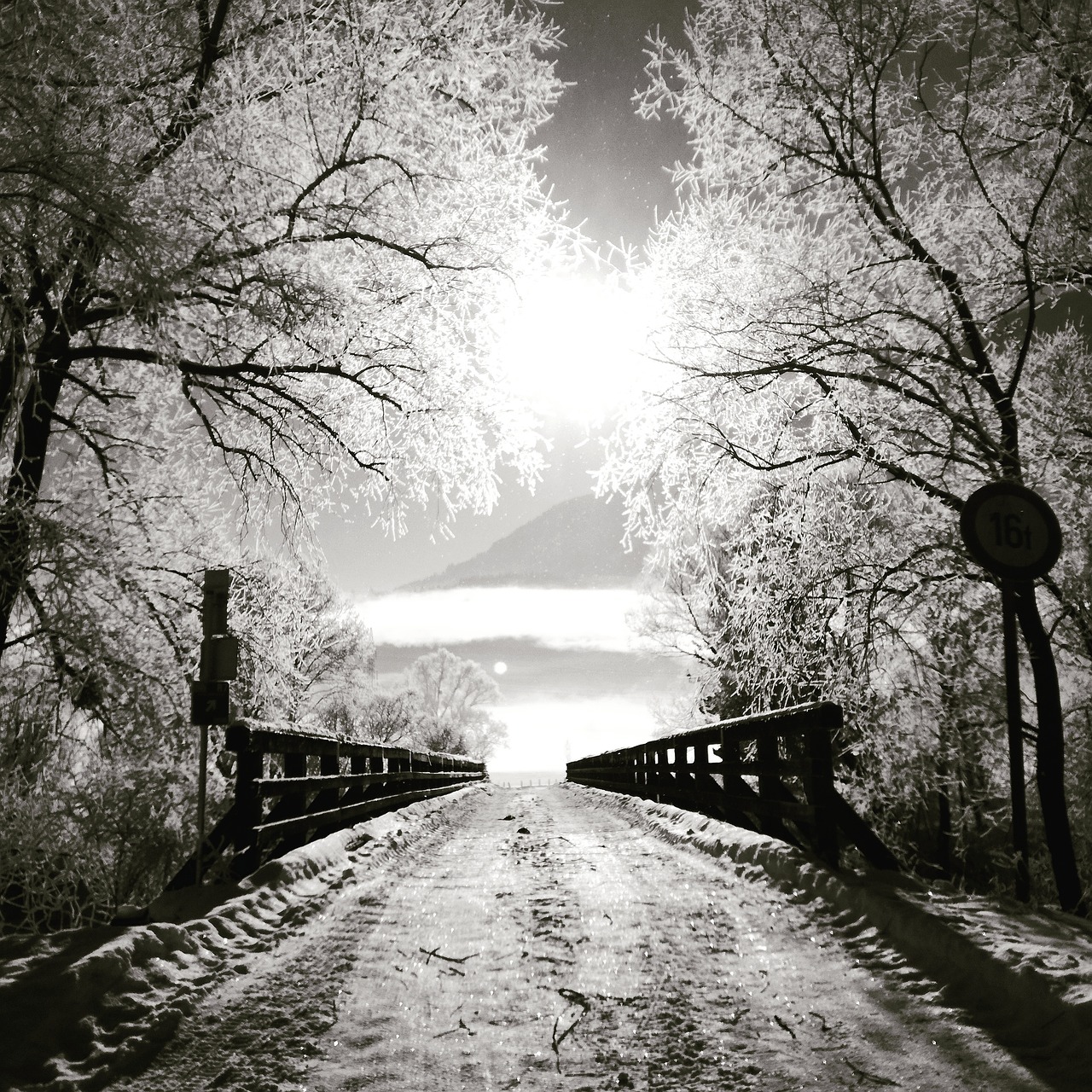 bridge sun winter free photo