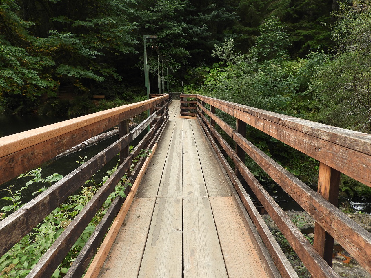 bridge path wooden free photo