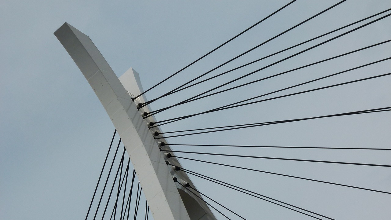 bridge tokyo japan free photo