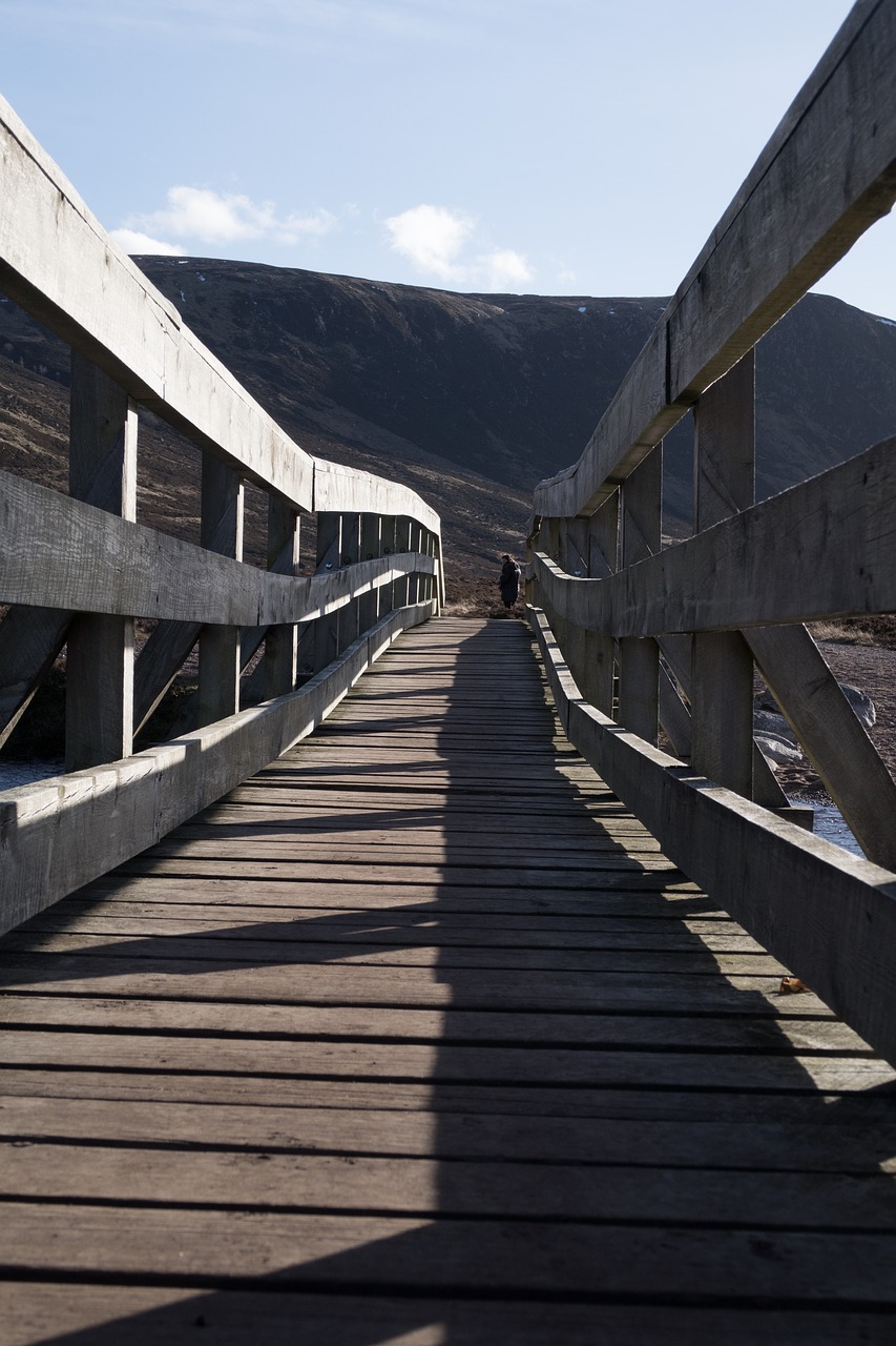 bridge wood calm free photo