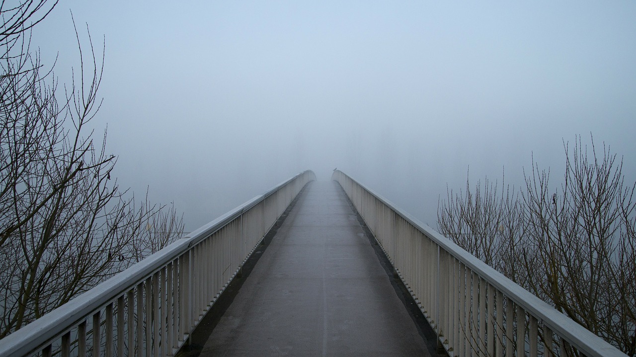 bridge fog web free photo