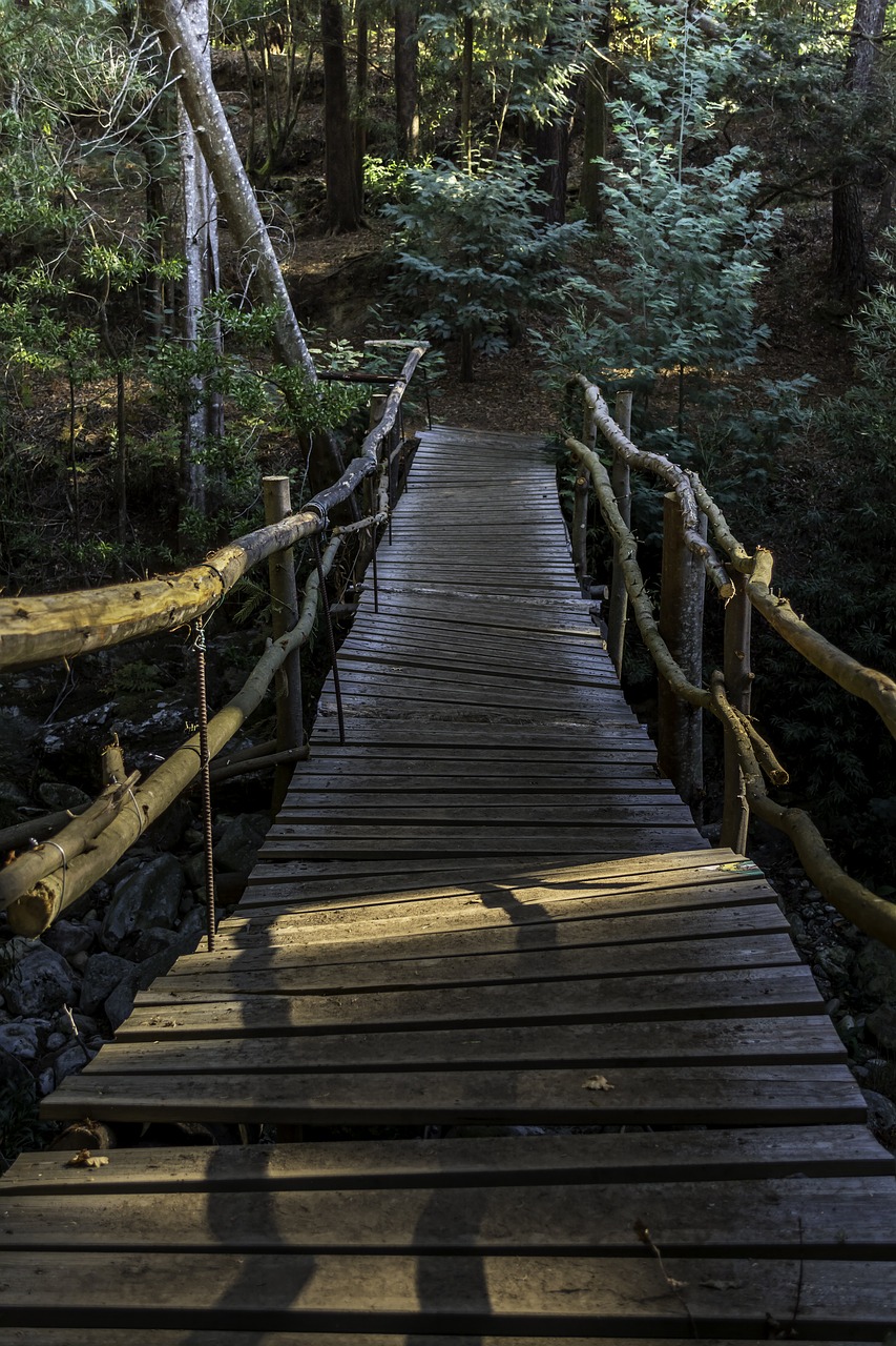 bridge mountain nature free photo