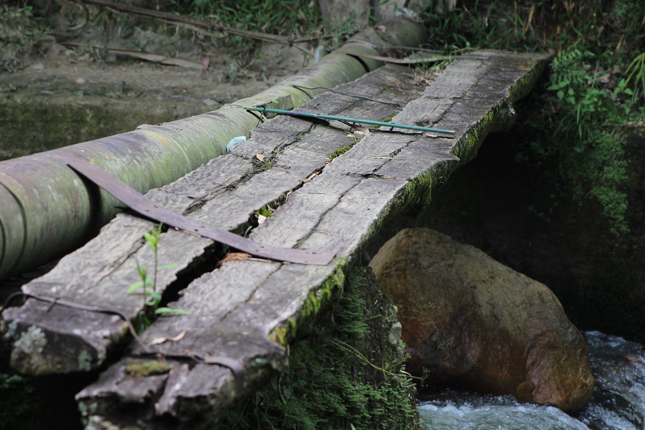 bridge path bridge over river free photo