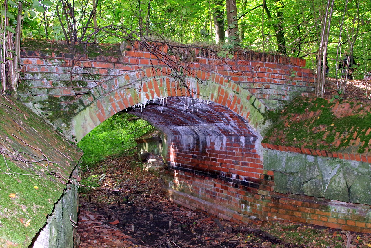 bridge forest brick free photo