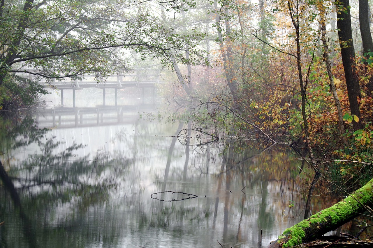 bridge wooden old free photo