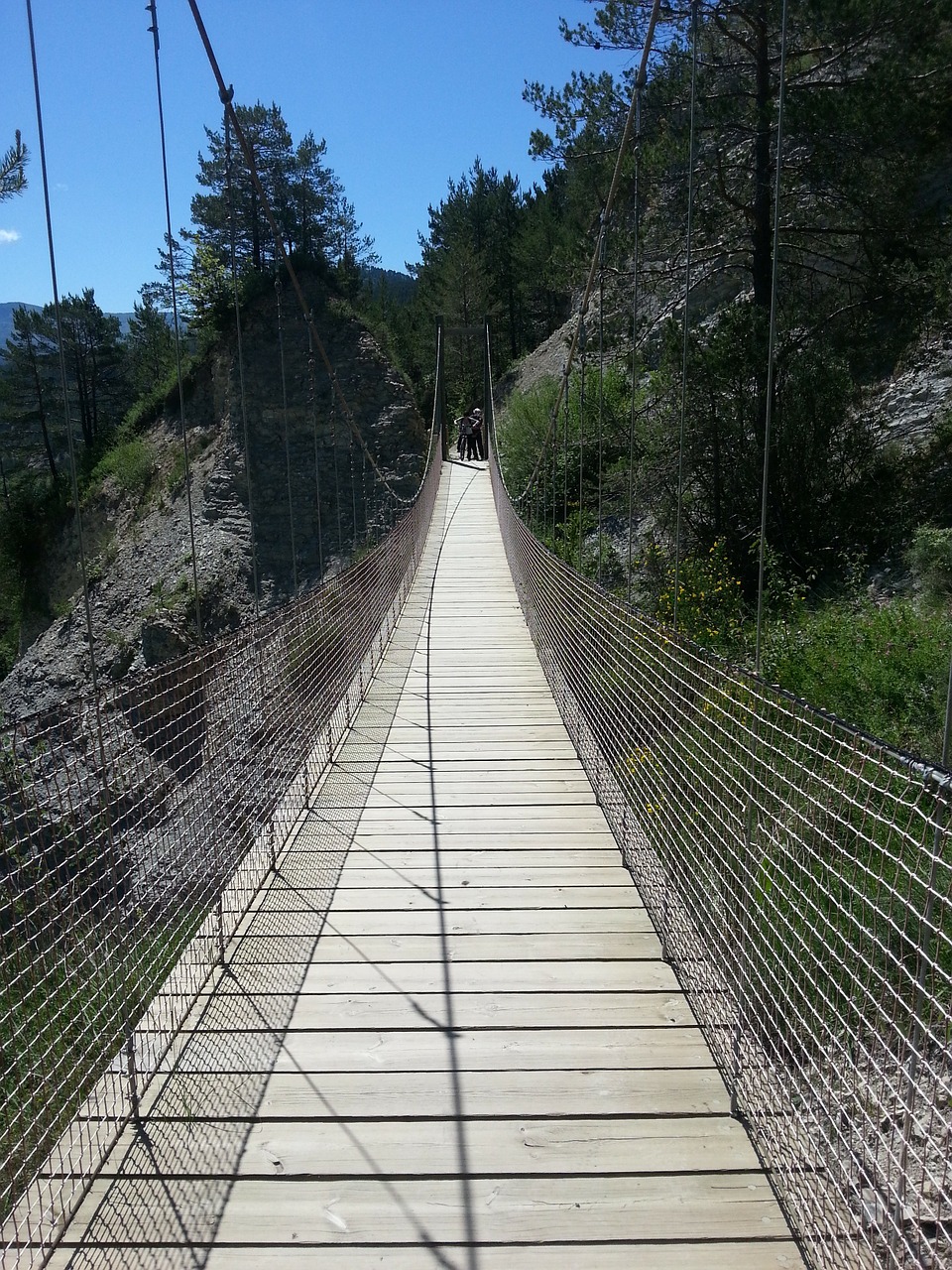 bridge suspension bridge path free photo