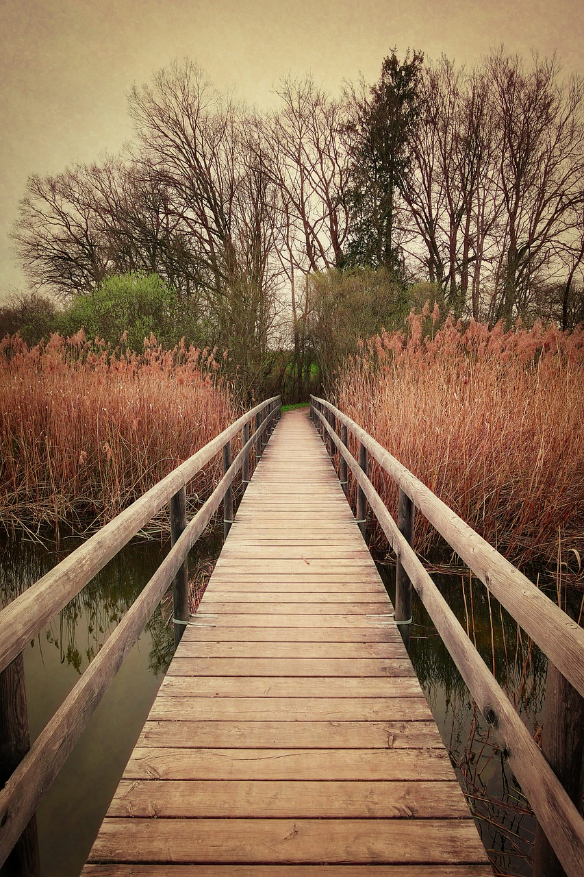 bridge vintage retro free photo