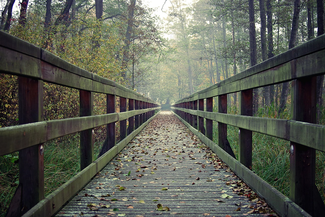 bridge long wooden free photo