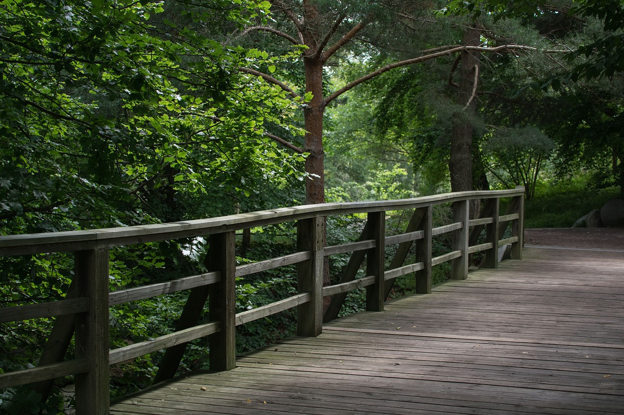 bridge bridge railing wood free photo