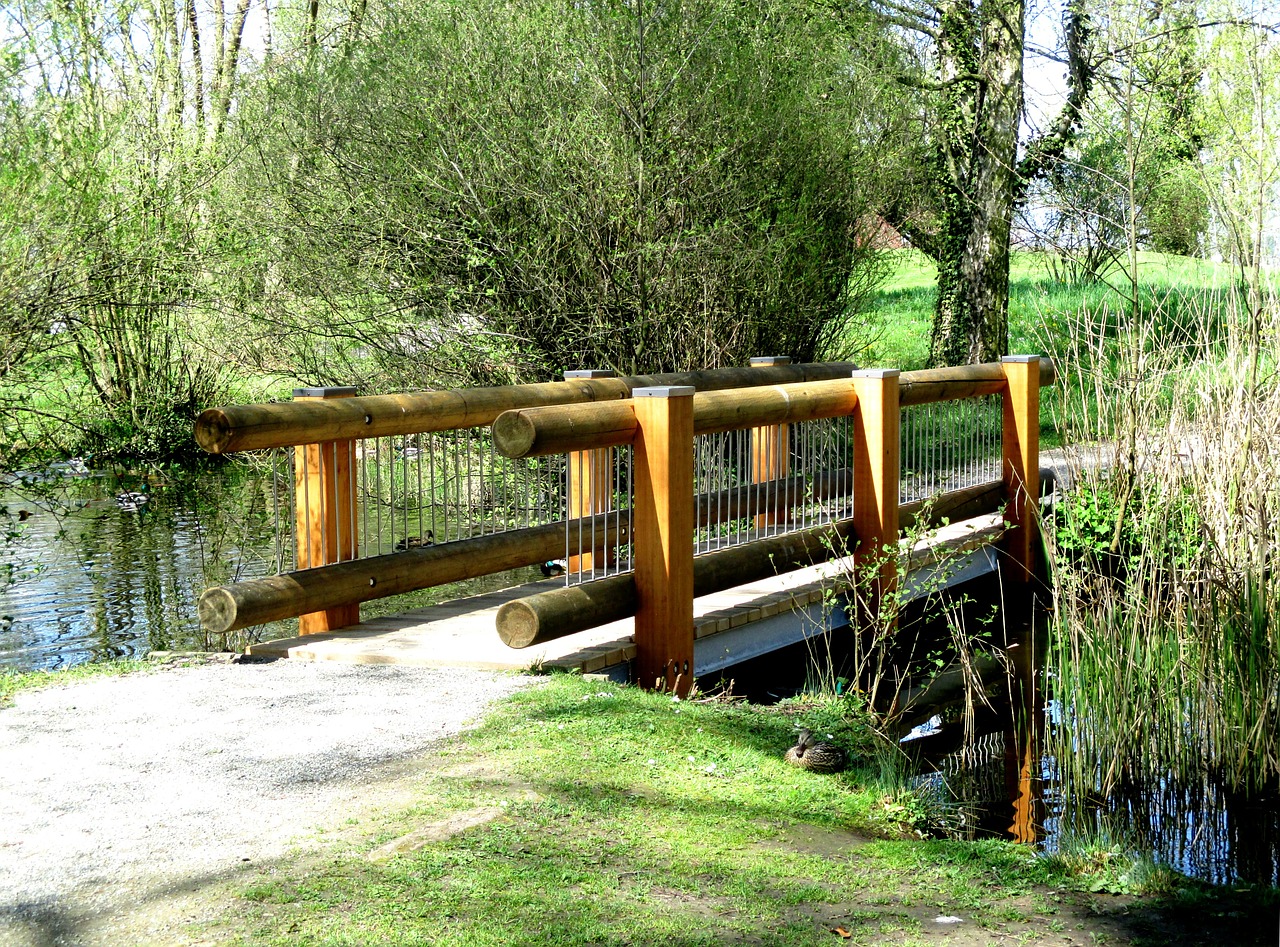 bridge web wood free photo