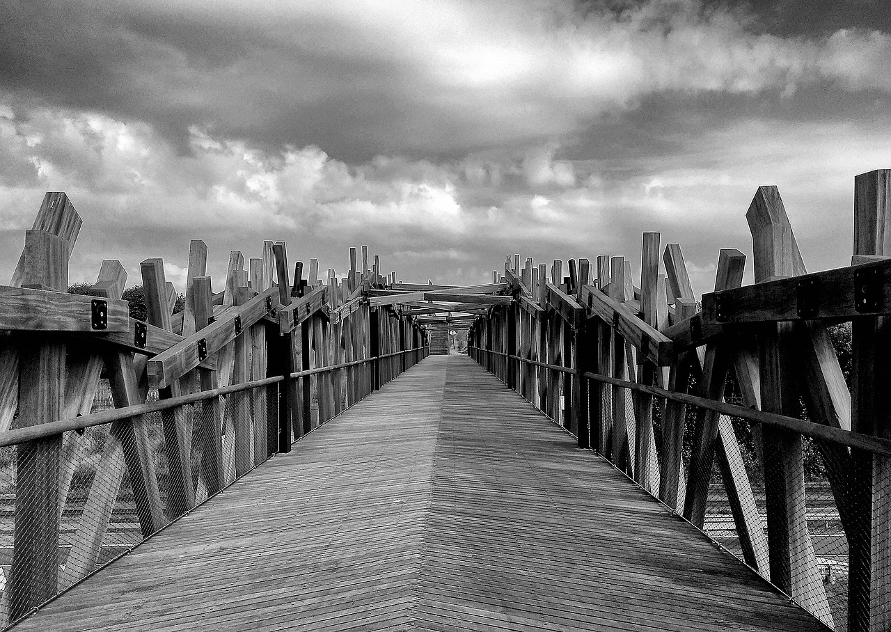 bridge black and white photography architecture free photo