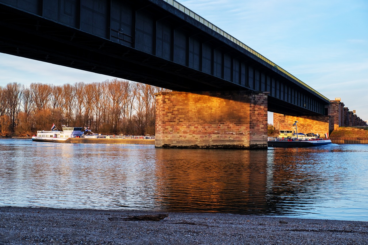 bridge rhine river free photo