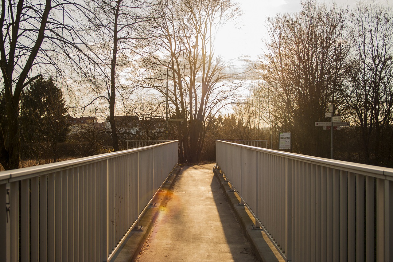 bridge pedestrian bridge transfer free photo