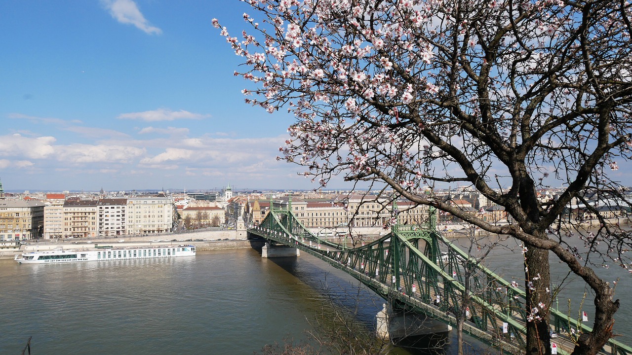 bridge budapest hungary free photo