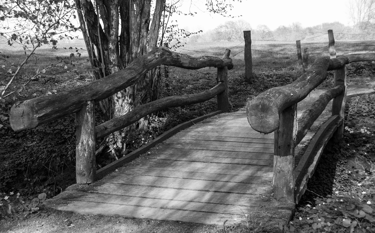 bridge forest hamburg free photo