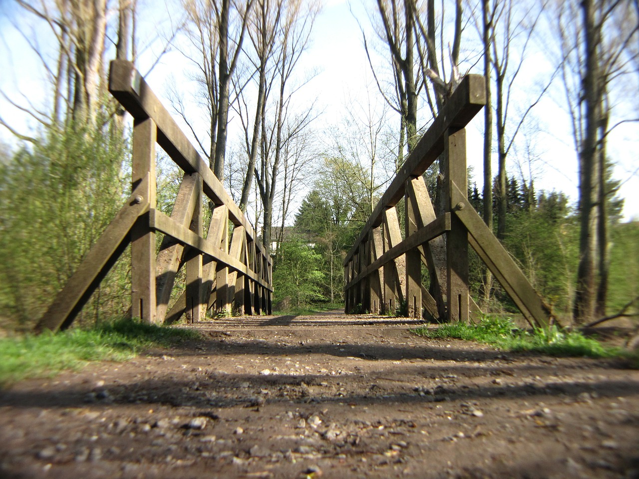 bridge forest forest path free photo