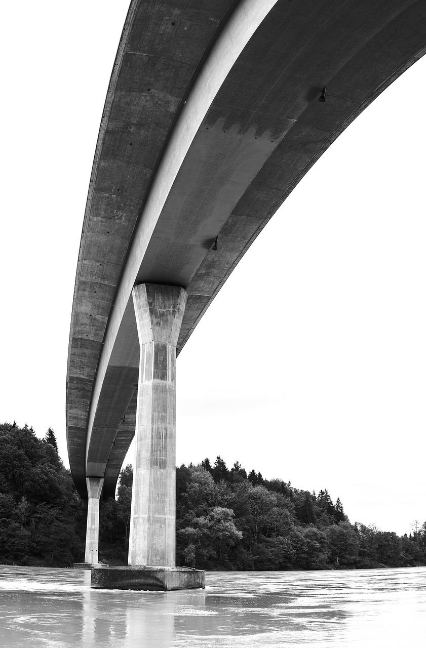 bridge  swinging  pillar free photo