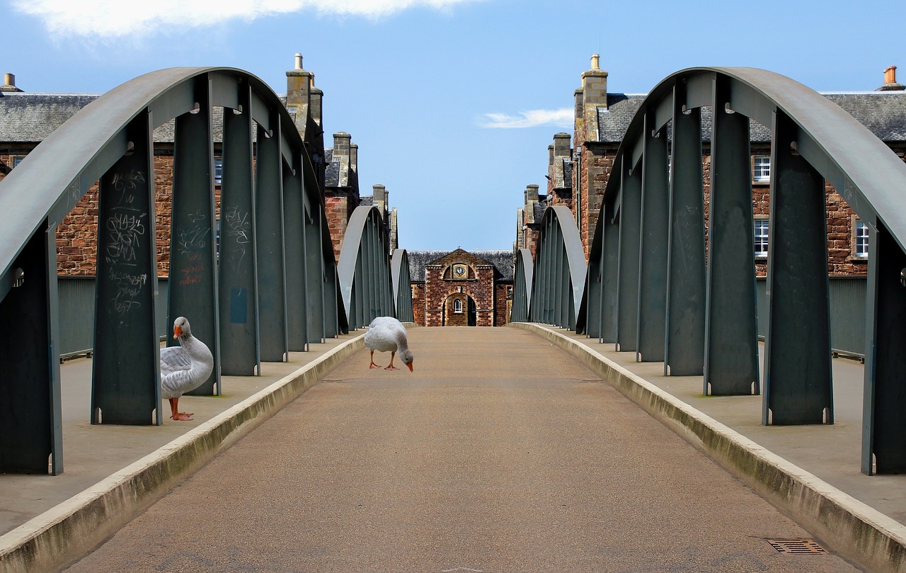 bridge  a handrail  old bridge free photo