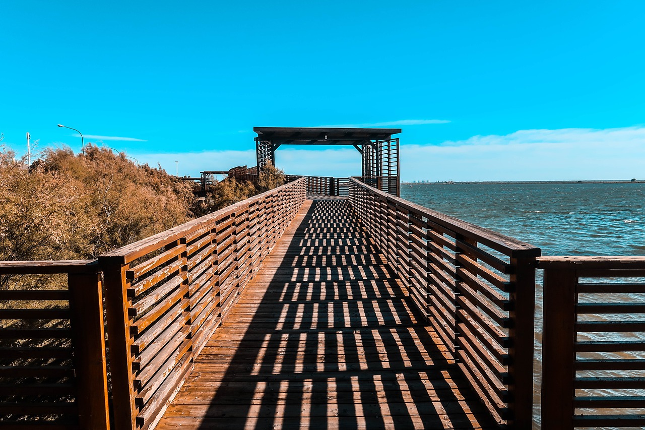 bridge  huelva  promenade free photo