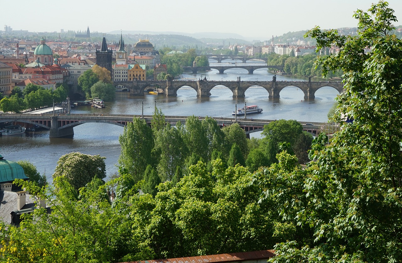 bridge  river  prague free photo