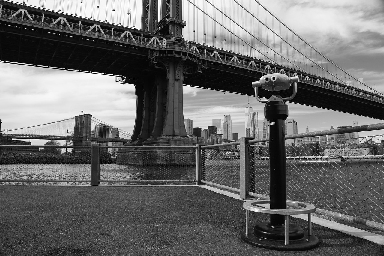 bridge  brooklyn  manhattan free photo