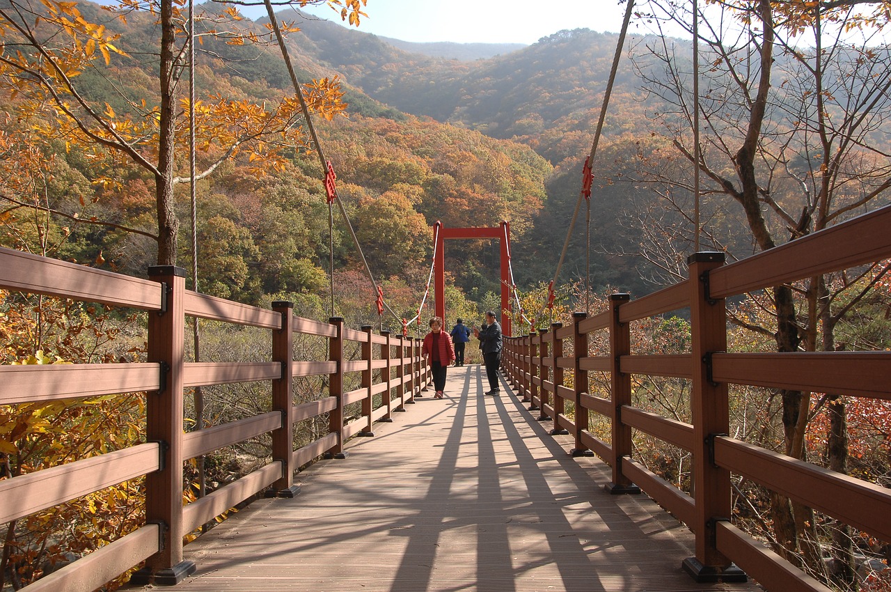 bridge  autumn  autumn leaves free photo