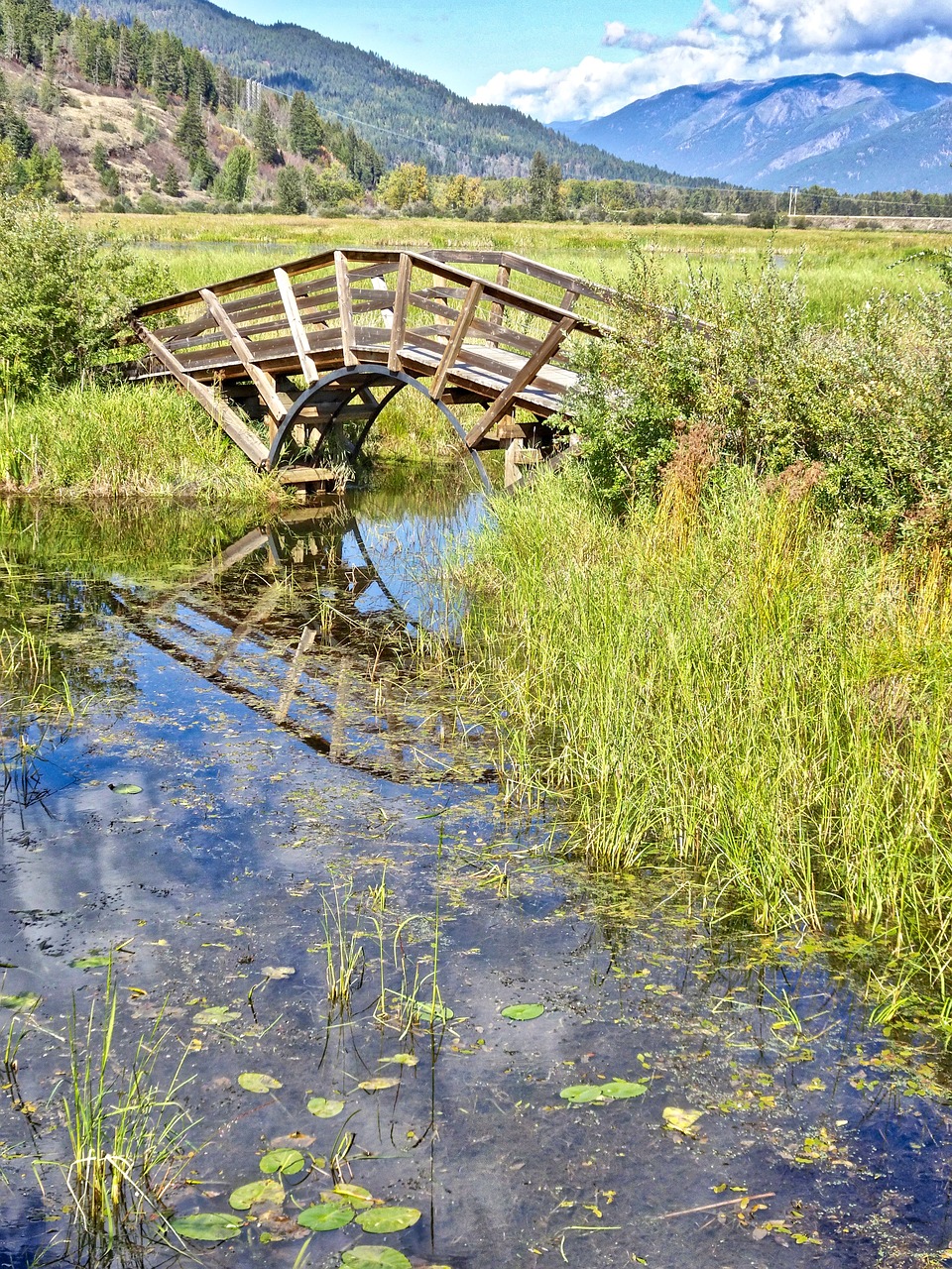 bridge  stream  peaceful free photo