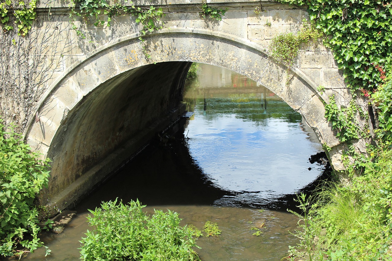 bridge  river  nature free photo