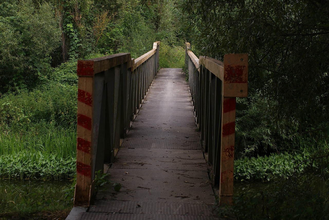 bridge  footbridge  landscape free photo