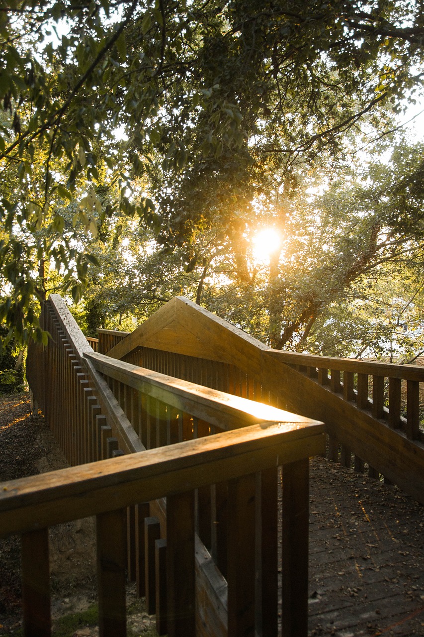 bridge  sun  sunset free photo