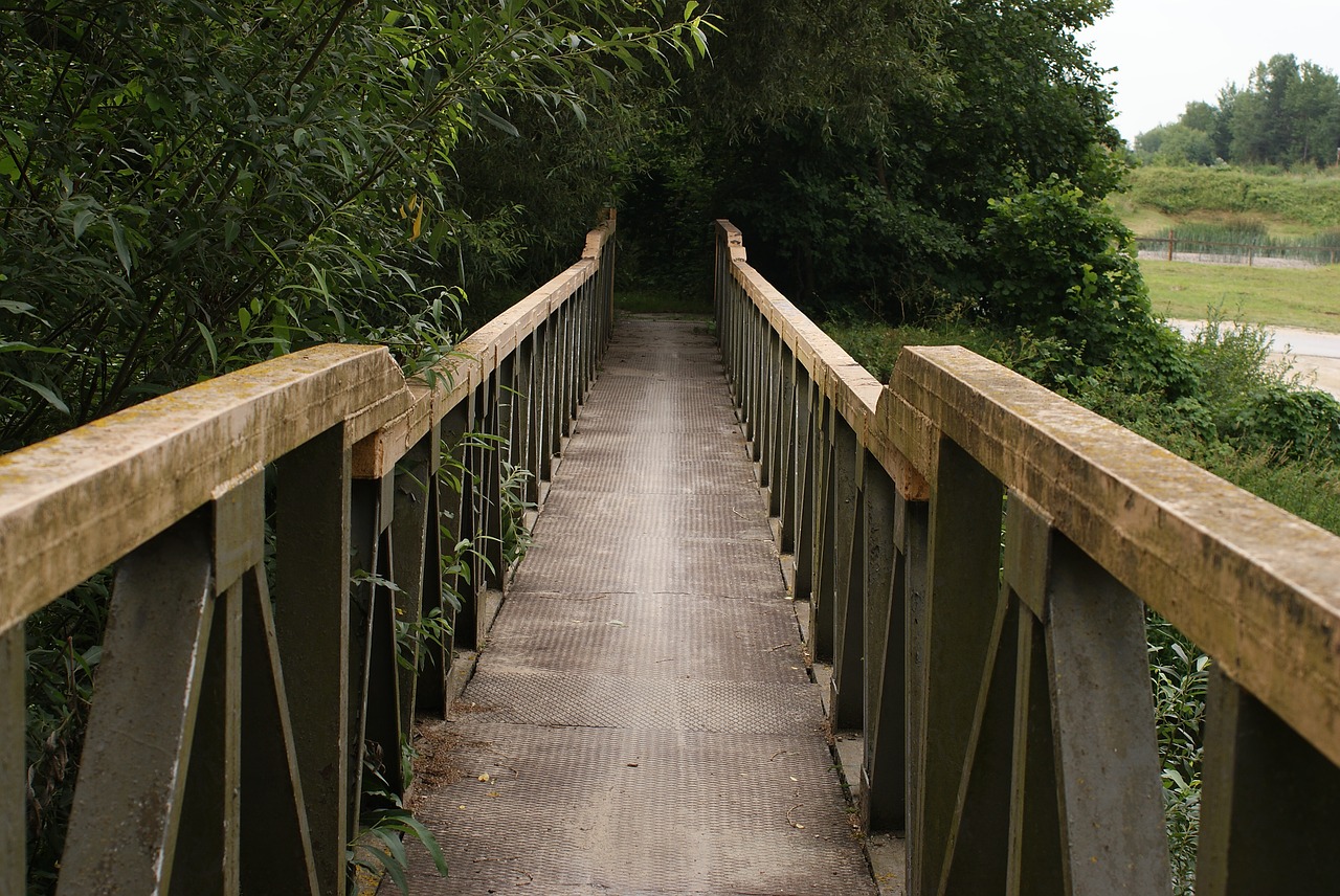 bridge  transition  footbridge free photo