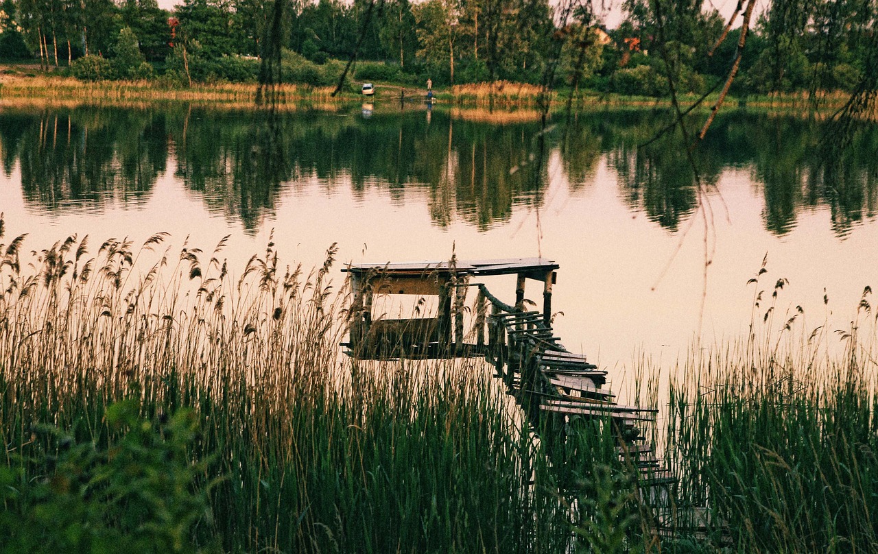 bridge  wooden  old free photo