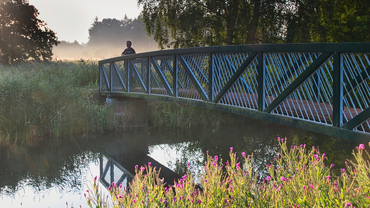 bridge  river  water free photo