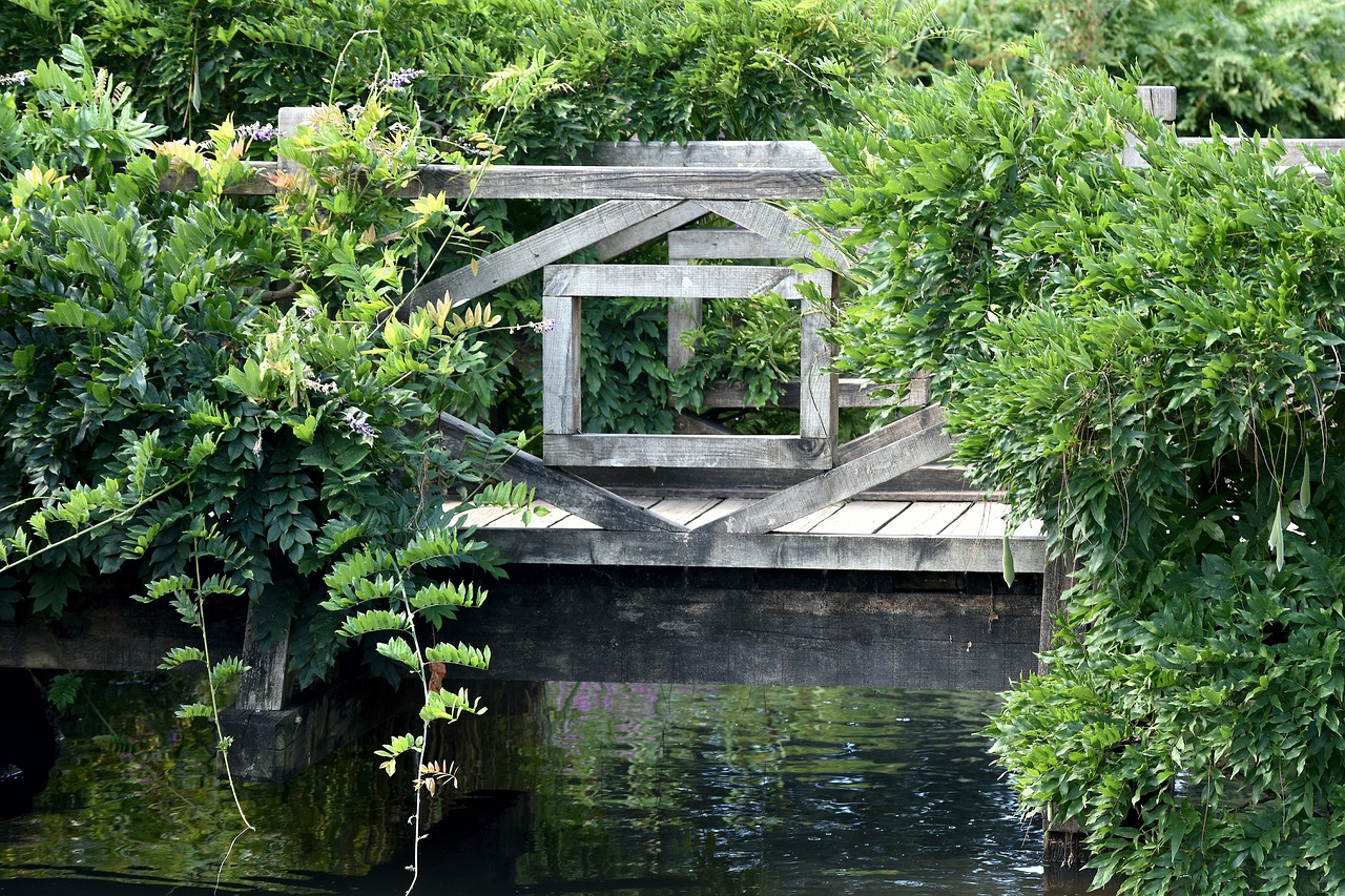 bridge  pond  water free photo