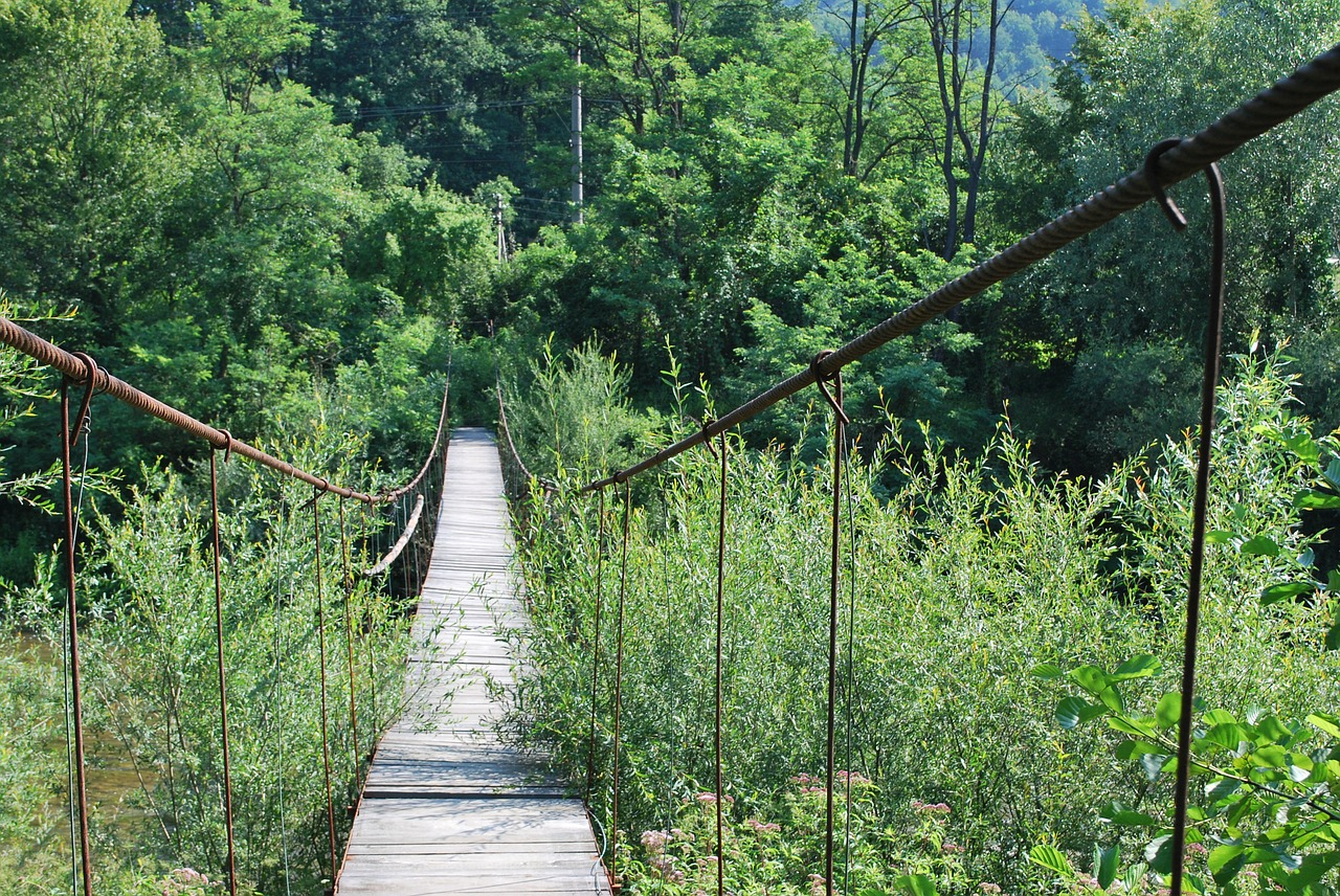 bridge small river suspension bridge free photo