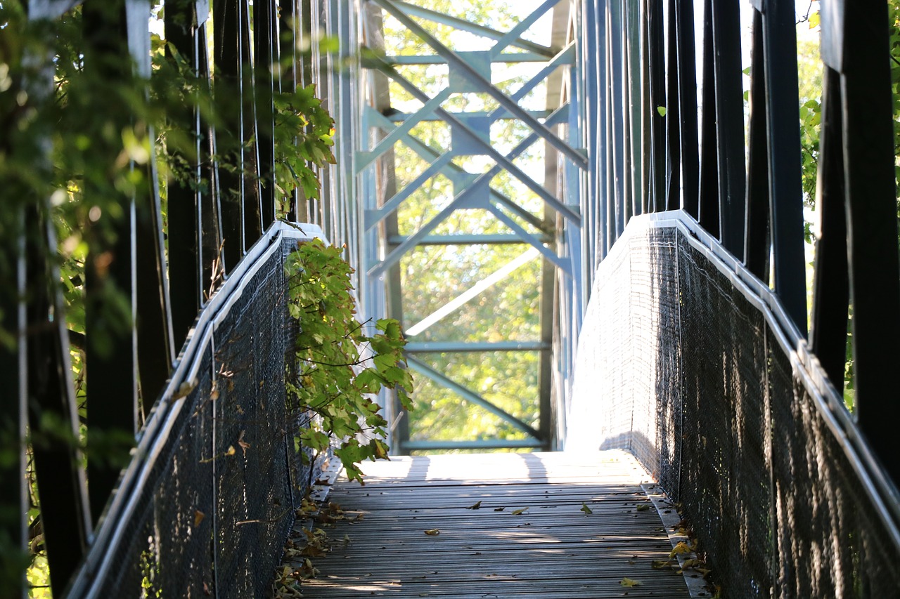 bridge  light  urban free photo