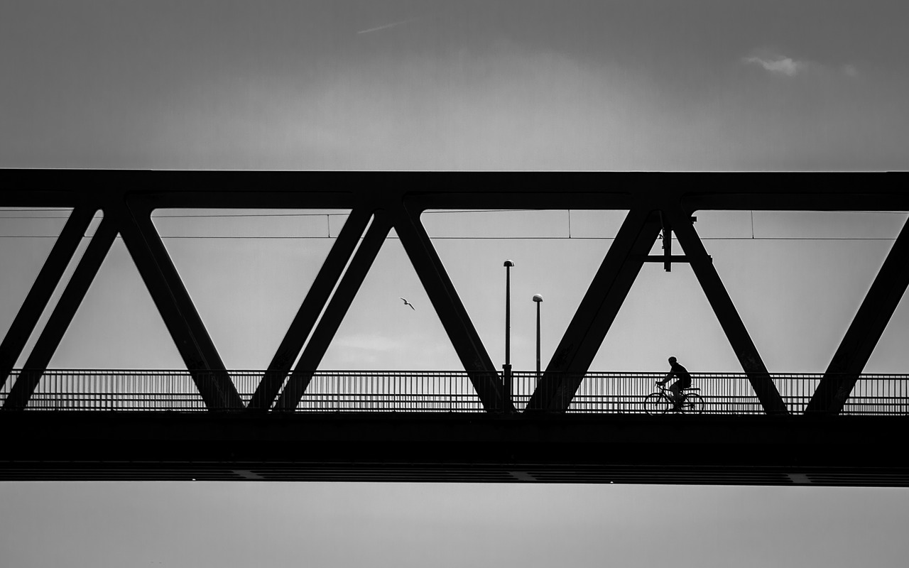 bridge  shadow  light free photo